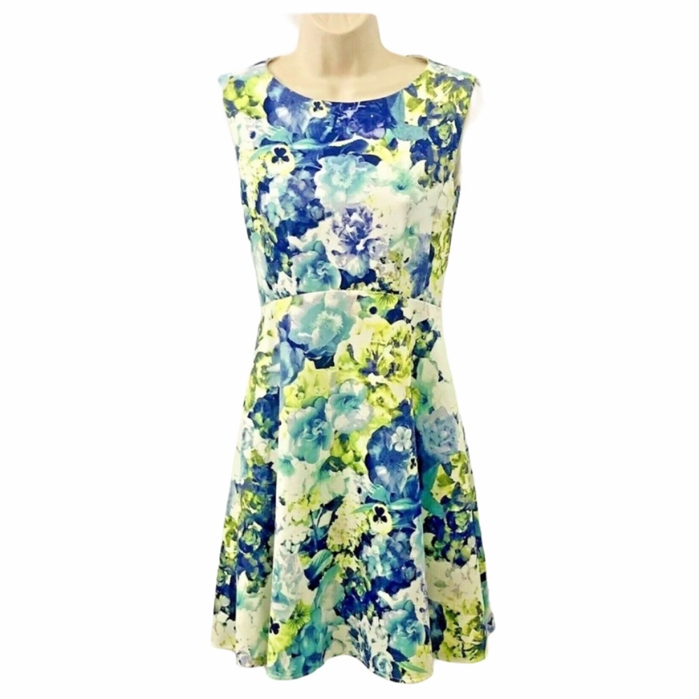 Tahari Arthur Levine A-Line Floral Dress Size 2